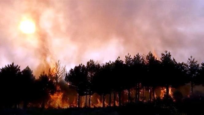 Paquetes turísticos para las zonas afectadas por incendios forestales en Lugo y Orense