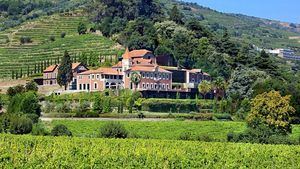 Propuestas de Six Senses Douro Valley para disfrutar de esta Navidad y Nochevieja