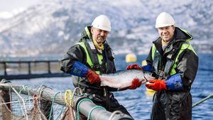 La acuicultura noruega, líder en la producción de proteínas sostenibles a nivel mundial