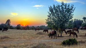 Rincones secretos en Alentejo para una escapada de fin de semana