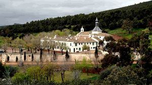 Planes de primavera en la Ruta del Vino de La Mancha