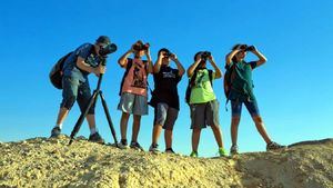 Israel, lugar para avistar corrientes migratorias de varias especies de aves