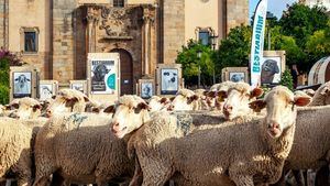 Roadshow Bestiarium llega a Pedraza, Valladolid y Boadilla del Monte