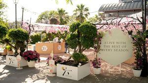 Roku Gin recrea en Sevilla un bosque de Sakuras para celebrar la tradición del Urban Hanimi