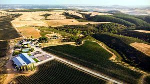 Planes irresistibles para los amantes de la enología, gastronomía y la naturaleza