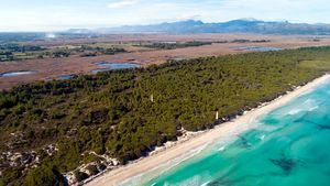 Mallorca presenta atractivas zonas naturales en zonas urbanas de belleza única