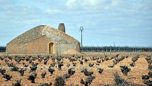 La Ruta del Vino de La Mancha propone un verano lleno de naturaleza y enoturismo