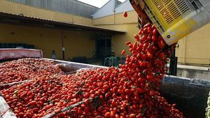 ¡A tomatazos!