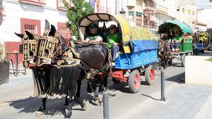 Fiesta de la Vendimia Tradicional de Tomelloso para finalizar el verano