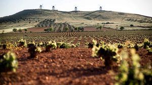 Escapada sin prisas a la Ruta del Vino de La Mancha