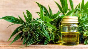 Una terapia natural cada vez más utilizada: El cannabidiol