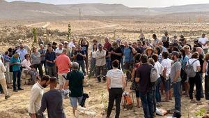 En el desierto israelí del Negev se recuperan antiguas variedades de uva
