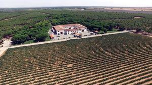 Ruta del Vino de La Mancha para una escapada exprés con todo el sabor del otoño