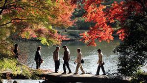 Dónde contemplar los colores otoñales en Tokio