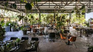 El restaurante House of WOW de Ibiza presenta su programación de invierno