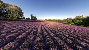 Planes para disfrutar de la primavera en Hungría