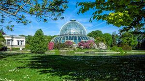 Los Invernaderos Reales de Laeken abren al público en primavera