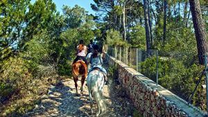 Rutas a caballo para descubrir la naturaleza de Mallorca
