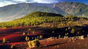 Experiencias para vivir la primavera en la isla de La Palma