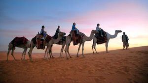 Ruta en camello