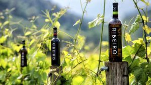 La Denominación de Origen Ribeiro en la nueva edición de la Primavera en las Rutas de los vinos