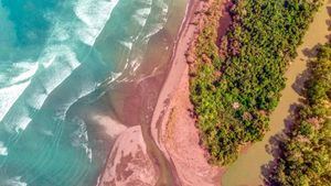 El Parque Nacional Corcovado, uno de los ecosistemas más biodiversos del planeta