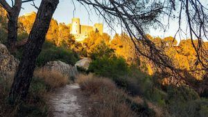 Las galerías de arte y los jardines, escenarios de cultura, historia y naturaleza en la capital balear