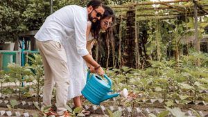 Seb’s Farm: el rincón ecológico de Maldivas donde la gastronomía se cultiva