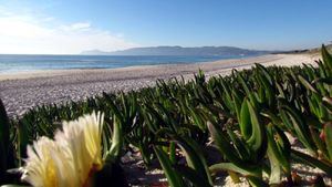 Diez playas con contaminación cero para descubrir en la costa del Alentejo