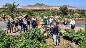 Gran acogida de los vinos del archipiélago en las jornadas “Descorcha Canarias”