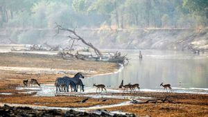 North Luangwa (Zambia) se abre a los conductores autónomos