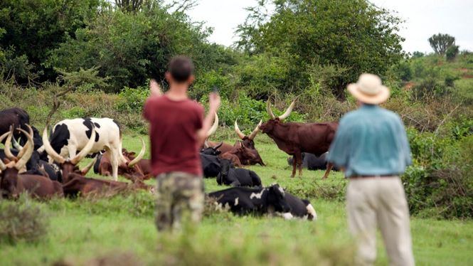 Safaris a pie en Uganda: conexión auténtica con la fauna africana | Inout  Viajes