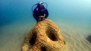 El Puerto Olímpico de Barcelona recupera su biodiversidad gracias a Underwater Gardens