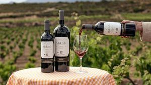 Vendimia 2025: un viaje entre bodegas, vinos y experiencias inolvidables