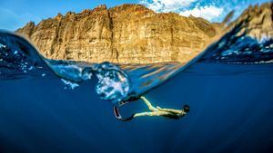 Canarias conecta turistas con prácticas sostenibles reales