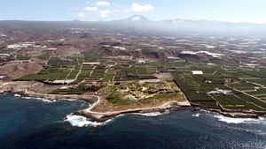 Tenerife lidera la creación del primer parque regenerativo marino-terrestre de Europa