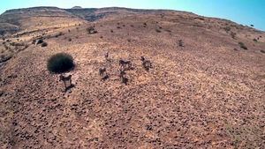 Damaraland, Namibia: donde la tierra susurra historias milenarias