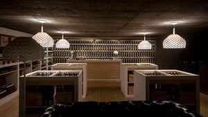 El Bajo Alentejo, un destino donde el vino cuenta la historia de su tierra