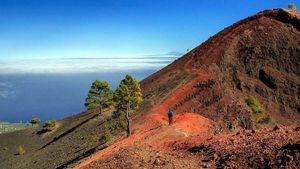 Caminante Volcanes