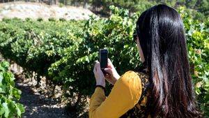 Las Bodegas de Grupo Matarromera celebran el Día Europeo del Enoturismo