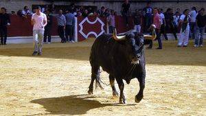 Visita guiada a la Ganadería Gaviria, un teso taurino en el Parque de los Alcornocales