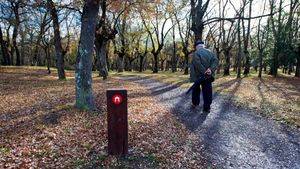 El cicloturismo es un pilar fundamental en el turismo de Vitoria-Gasteiz