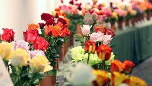 Roses celebra los días 27 y 28 de Mayo la VI Feria de la Rosa