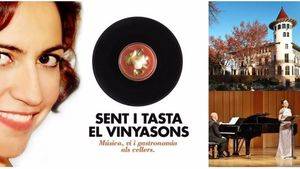 Festival VinyaSons, música en las bodegas