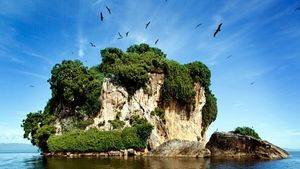 Flora y fauna de la República Dominicana, un auténtico paraíso