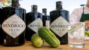 Hendrick´s Gin inaugura su primer huerto de pepino de cristal en Huete