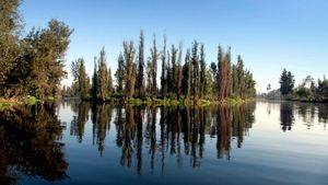 México DF. Lago de Xochimilco