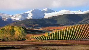 Canarias, Andalucía, Baleares, Cataluña y La Rioja, las regiones españolas mejor valoradas