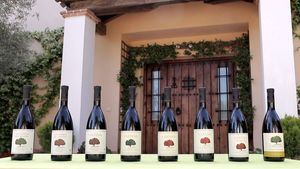 Bodegas Cartema te aconseja 6 trucos para elegir un buen vino