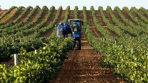 Bodegas De Alberto incluida en el Decálogo de Sostenibilidad de la Industria Agroalimentaria